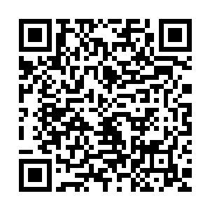 究竟会不会用大红花轿把这位单纯善良贤良淑德的姑娘娶回家呢二维码生成