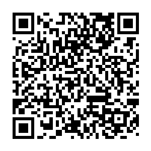 究竟是如何做到无视这种只要一个不慎就会让他们全军覆没的重压的二维码生成