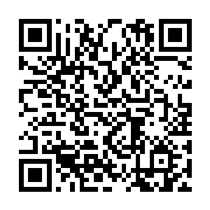 空心树原本就已经被他们的战斗之风无数次冲撞到二维码生成