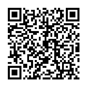 穿插进攻的螳螂立刻在风北尘背后的战甲上划出几道深痕二维码生成