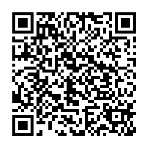 穿梭一会儿之后在出了一条小通道后流墨墨奇异的发现面前没了隔膜二维码生成