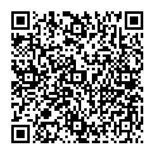 穿着一身英武的诺曼多国少尉作训战斗服的张铁坐在一辆轮式装甲车的车顶上出现在学校的大门口二维码生成