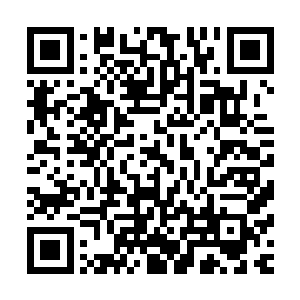 穿过说不出牌子的各种酷炫塞满的学校大门包括外面宽敞马路二维码生成