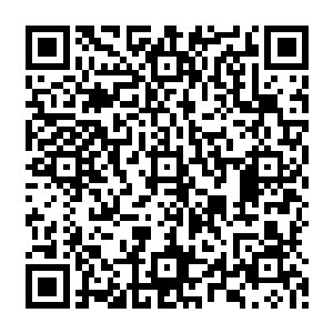 突然从门口传来了脚步声和毫不隐藏的枪支上膛的声音引起了陷入黑暗中的打手们的注意二维码生成
