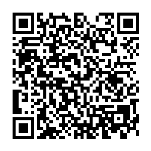 突然有了一种为面前的这些信任自己的牲口们不顾一切的冲动……二维码生成