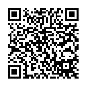 突破千万票房了回报率升至了2倍一个无可争议的新的票房奇迹二维码生成