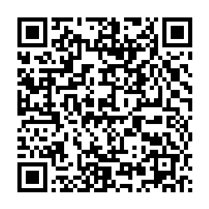窗外几株已经凋落得没剩几片树叶的榆树混杂在依然乌绿的香樟林中二维码生成