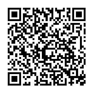 立会导致刚夺取的南阳郡各县不稳――没有稳定根基就难以扩展周边二维码生成