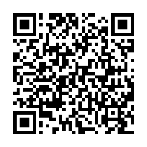立刻将刚刚在阳间完成的那一场斗医的经过详细的说了一遍二维码生成