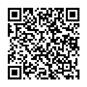 立刻就能够发挥出两大圣域绝学所能够发挥出的最大威力二维码生成