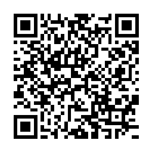 立即出国――上次维也#纳的博尔纳乐团不是邀请你过去表演吗二维码生成