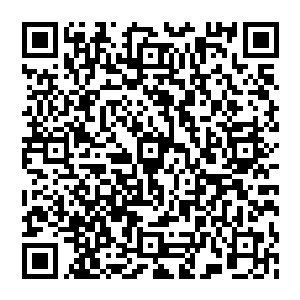 立即将龙息小队没有派出去执行任务却在参加一个阶段性训练的几名队员全部派遣过来供秦洛使用二维码生成