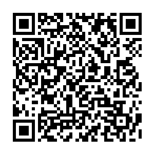 立即小心翼翼的将这些也都挖出来的……这些材料虽然只是很少的一部分二维码生成