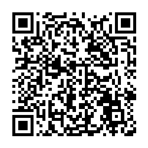 立即是与迎面而来的数十股堪比始境一重天的能量攻击撞击在一起二维码生成