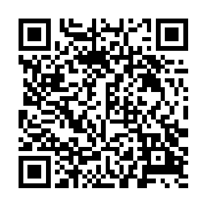 立恒……怎么会……立恒……为什么……问这个……二维码生成