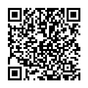 立群星域的一位下等界主和所有的域主的生命气息全都消失二维码生成