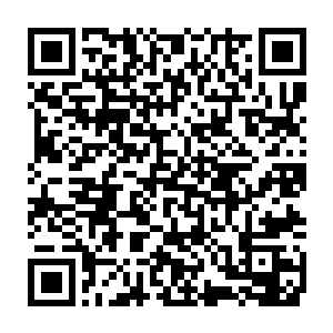 站在他身后的墨华却清楚的看到王爷搁在桌上向下紧握着的指尖正在颤抖二维码生成