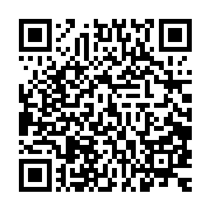 站在十几艘快艇的全体官兵脸上浮现出难以置信以及绝望的神色二维码生成