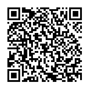 站在圆池边上流墨墨大约可以看见差不多二十几枚未成熟的墨壶果露出身影二维码生成