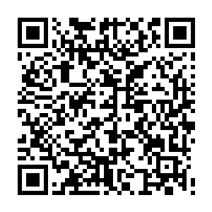 站在地上的云落落看到这一幕就从案几上重新取过一片鱼干放到弟弟手上二维码生成