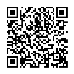 站在张老书记身后的张泽爱已经是害怕的握着雨伞的手都在发抖二维码生成