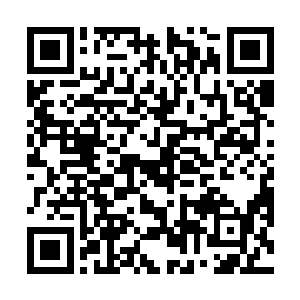 站在旁边一上午没有戏份的桑怜再也压不住心里的怒火二维码生成