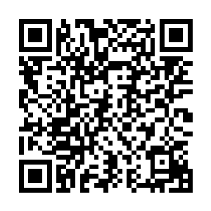 站在林晓夕面前的 是一个和林晓军长的有几分相似的老头二维码生成