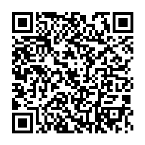站在神殿上方的水侍卫绝对是在他们來到这里之前就已经在那里了二维码生成