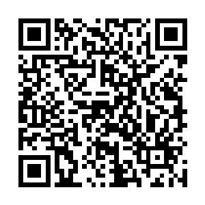 站在角落里的柳丞相看着墨景祈这疯狂的模样皱了皱眉二维码生成