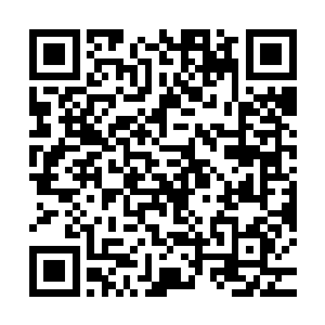 站在身后的安保也是第一时间就把枪械给放置到丁羽的面前位置二维码生成