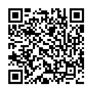 站满了全副武装的禁卫军和数千名左文右武排列的官员二维码生成