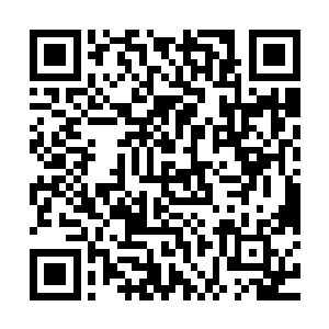 竟与下方大衍石笋林的四十九根石笋柱摆列方位一模一样的样子二维码生成