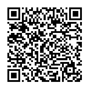 竟在九州界古小世界区域就溃败了……怪不得乾坤道会在九州界有所遗传二维码生成