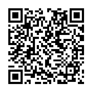 竟是打算打算一步步的仅仅用压力就把洪不器他们压垮二维码生成
