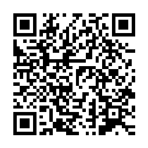 竟是生生扼杀了他的抗拒……夏初七给了晴岚一个赞赏的表情二维码生成