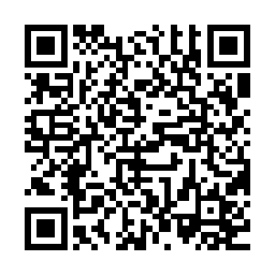 竟然……楚暮竟然可以和施展秘法之下的武王战斗到这样的地步二维码生成