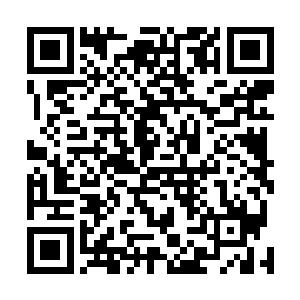 竟然一脸讨好的跟个痞子一样个他们绑架的对象讨价还价二维码生成