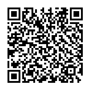 竟然会是那神秘的让东南区域和西北区域同时拥护敬畏的炼丹门门主二维码生成