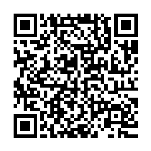 竟然将聂虎的一颗活生生依然在跳动的心脏给硬生生的挖了出来二维码生成