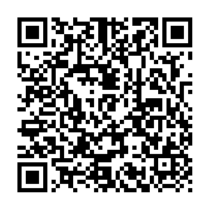 竟然就连那无边无岸的坚硬大地也仿佛是被这狂风的力量所撼动一样二维码生成