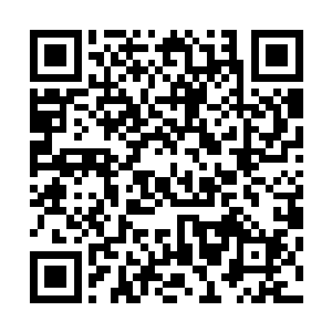 竟然把他们出售给冒险团的融合兽得到的仙晶都给押上去了二维码生成