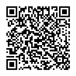 竟然敢将主意打在我们的身上这次回去之后定要给他一个难忘的教训二维码生成