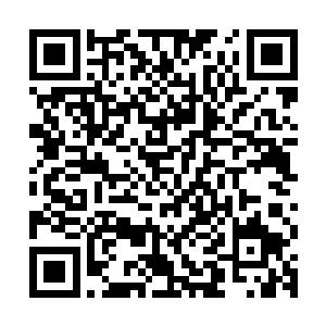竟然敢硬接我的一掌…在玄域同等修为中还沒有人敢如此托大…二维码生成