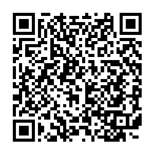竟然是让他们把用那些巨大化的仙花仙草炼制的仙丹赔给他就行了~二维码生成