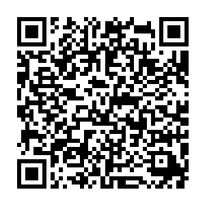 竟然有人投了这么一笔可怕的数额来和自己的幕后老板进行对赌投注二维码生成