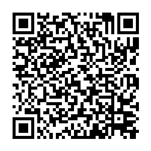 竟然硬生生将他手里那柄材质同样不俗的宽背大砍刀砸出不少的口子来二维码生成