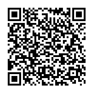 竟生生地将还黏连在岩壁上的寒冰连着巨大的土石块一起拔扯了下来二维码生成
