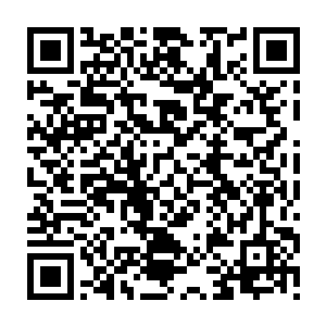 竟连赌坊也没放过……再加上各地田庄里的产出……你得给账房先生涨薪饷了二维码生成