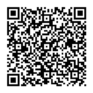 竭力把说到嘴边的谗言又给吞回去……这些人全都知道秦林是堂而皇之的在万历面前演戏二维码生成
