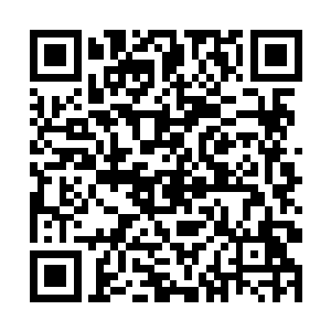 端木安国还没来得及仔细分析粗粮和白米的本质区别二维码生成